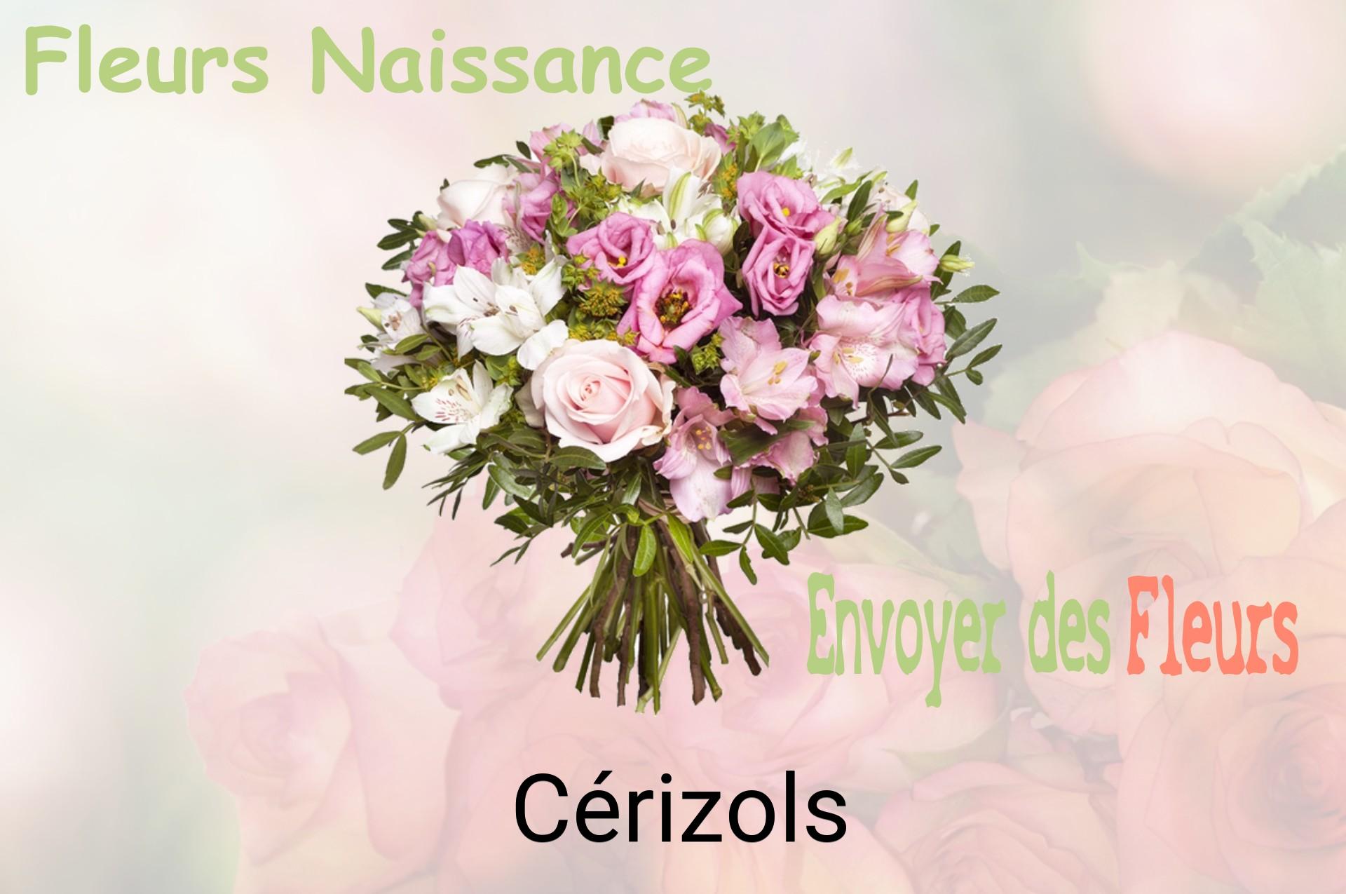 Bouquet de fleurs de naissance livré à Cérizols