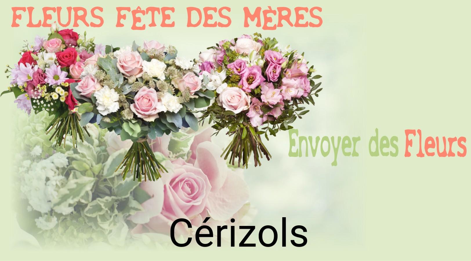 Bouquet de Fête des Mères livré à Cérizols